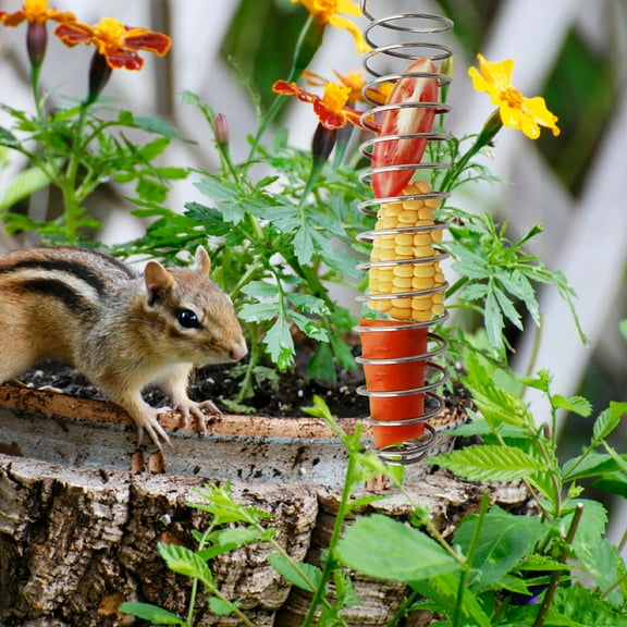 DRAFIDEEP 4Pcs Silver Squirrel Feeder Corn Cob Holder for Easy Outdoor Wildlife Feeding
