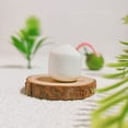 thumbnail image 1 of DRAFIDEEP 5Pcs Decorative Coconuts Resin Mini Coconuts Prop Educators, 1 of 8