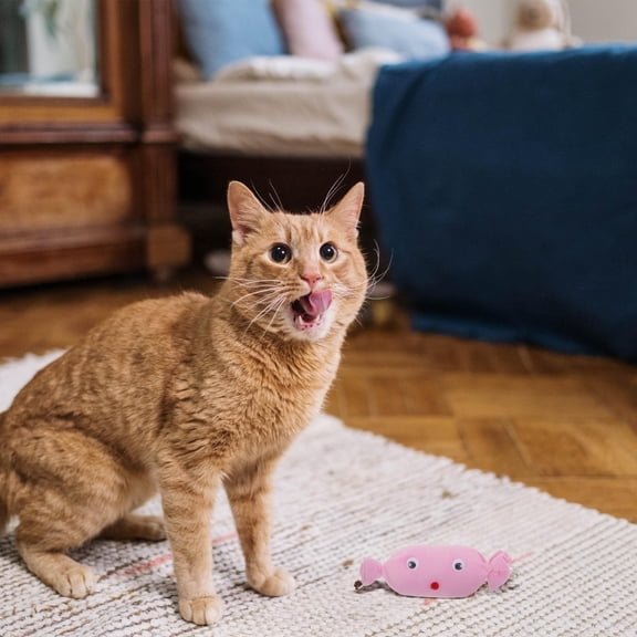 DRAFIDEEP Cat Chase Toy Plush Candy Shape 1Pcs Suitable for Indoor Cats and Puppies
