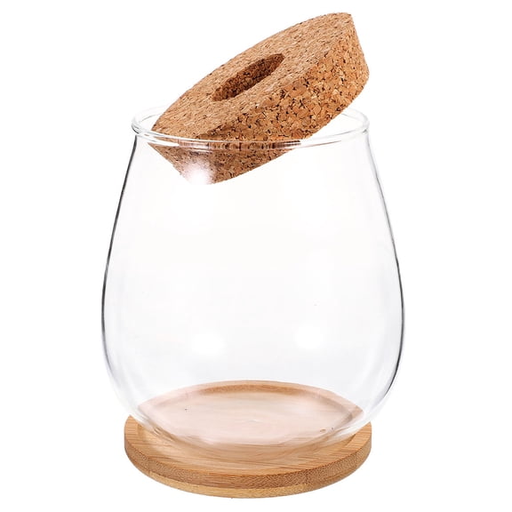 DRAFIDEEP Glass Pots for Plants Hydroponic Glass Vase Transparent for Decorative Item 1 Set