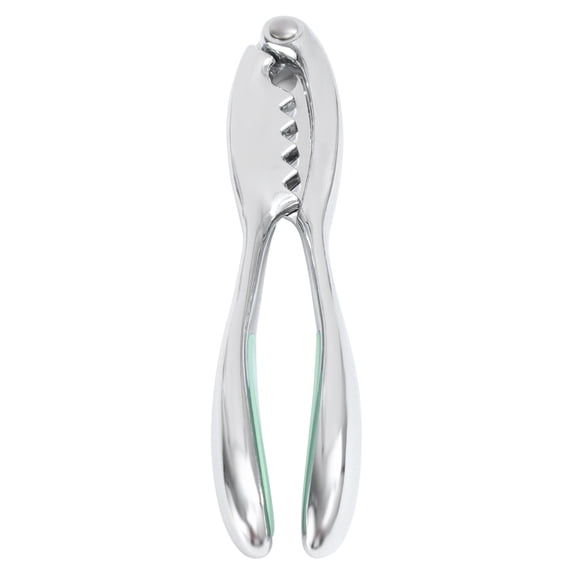 DRAFIDEEP Stainless Steel Crab Crackers with Non- Green Handle for Home Kitchen Use, 1 Piece Seafood Tool