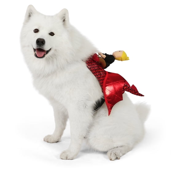 Vibrant Life Halloween Dragon Rider Costume for Dogs, Multicolor, L