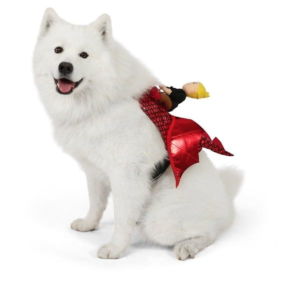 Vibrant Life Halloween Dragon Rider Costume for Dogs, Multicolor, L