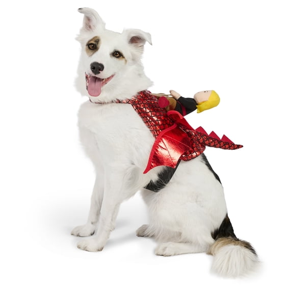 Vibrant Life Halloween Dragon Rider Costume for Dogs, Multicolor, Medium