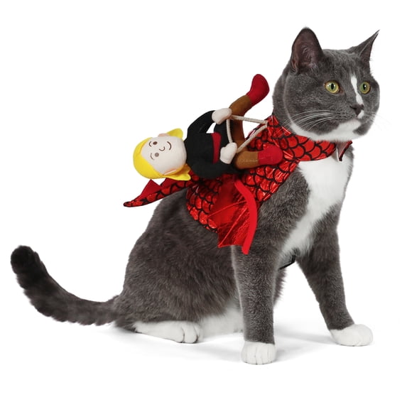 Vibrant Life Halloween Dragon Rider Costume for Dogs and Cats, Multicolor, S
