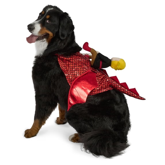 Vibrant Life Halloween Dragon Rider Costume for Dogs, Multicolor, Extra Large