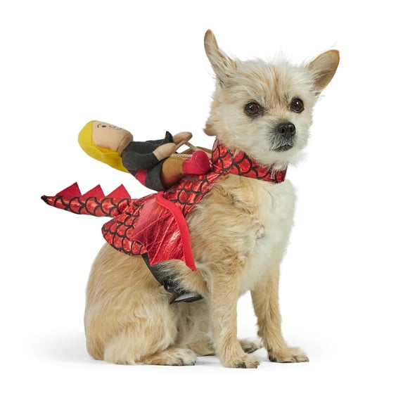 Vibrant Life Halloween Dragon Rider Costume for Dogs and Cats, Multicolor, Extra Small
