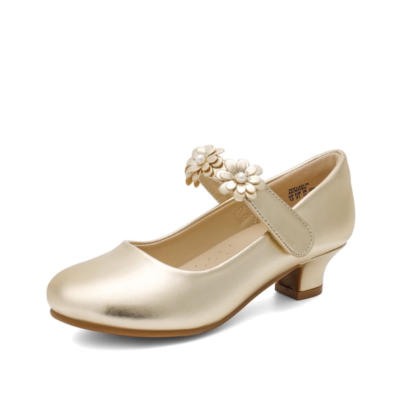 DREAM PAIRS Girls Mary Jane Dress Shoes Pumps Low Heels Flower Party Wedding Princess
