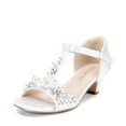 thumbnail image 1 of BURUDANI Girls Dress Sandals with Ankle Strap T-Strap Low Heel Pumps for Little & Big Kids, 1 of 7