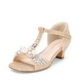 thumbnail image 1 of BURUDANI Girls Dress Sandals with Ankle Strap T-Strap Low Heel Pumps for Little & Big Kids, 1 of 6