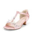 thumbnail image 1 of BURUDANI Girls Dress Sandals with Ankle Strap T-Strap Low Heel Pumps for Little & Big Kids, 1 of 7
