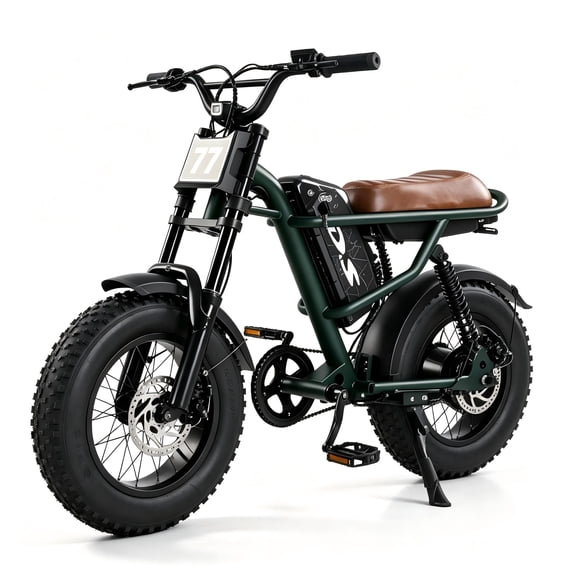 DRIFT.SLIDE Electric Bike for Adults, 1000W Peak Motor, 28 mph Ebike, 16"x4" Fat Tires, 48V 15Ah Removable Battery, 5-Speed