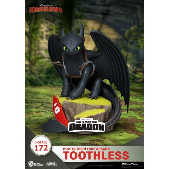 DS-172-How to Train Your Dragon-Toothless