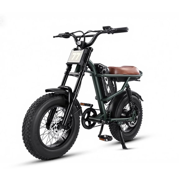 DS D77 Electric Bike for Adults, Gift Choice for Teens, 28 MPH Mountain Bicycle, 16x4 Fat Tire, 1000W Peak Power, 48V 15Ah 5-Speed