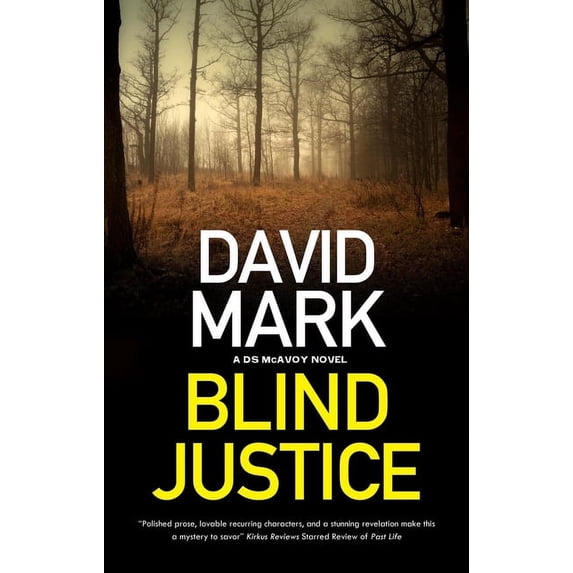 DS McAvoy Novel Blind Justice, Book 10, (Hardcover)