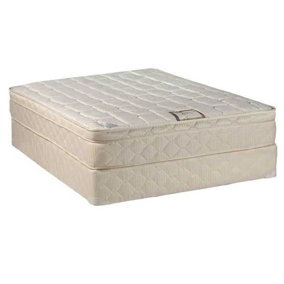 DS USA Dreamy Collection PillowTop Mattress Set with Mattress Cover Protector - Medium Firm, Innerspring Coils, Premium Edge Guards, Longlasting by Dream Solutions USA (Queen 60"x80"x10")