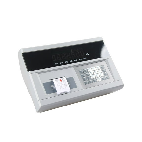 DS10 Weighing System Digital Scale Controller For Electronic Weight Meter Indicator ,Better Experience