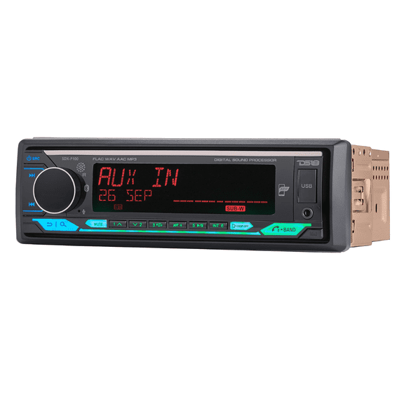 DS18 SDX-P100 1-DIN AM/FM/USB/APP/DSP/Bluetooth Mechless Digital Media Receiver