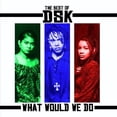 thumbnail image 1 of DSK - Best of: What Would We Do - Electronica - CD, 1 of 1