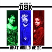DSK - Best of What Would We Do - Electronica - CD
