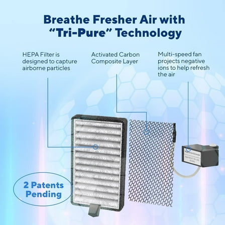 DSTx Portable Air Purifier - HEPA Filter, Plug-In Ionizer for Home, Bedroom, Pets, Smoke, Dust, and Odors