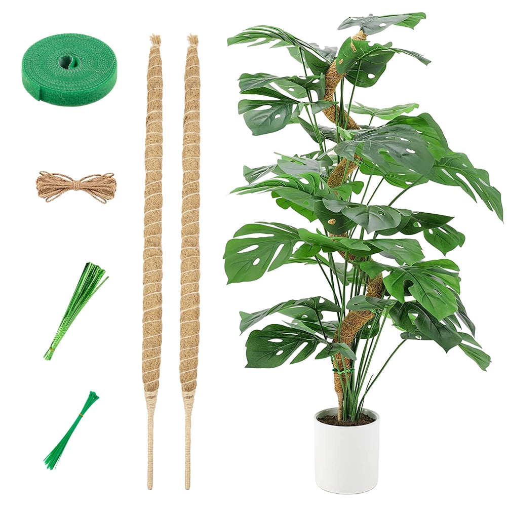 DSstyles 2 Pcs 25 Inches Bendable Moss Pole, Guyana | Ubuy