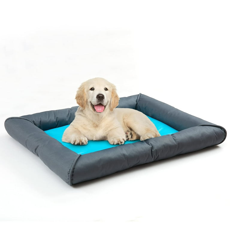 DSstyles Cooling Mat for Dogs Pet Cooling Mats for Dogs and Cats Pet Summer Irrigating Cooling Water Bed with Winter Mattress Dog Mat for Small and