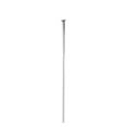 thumbnail image 1 of DT SWISS DT Aerolite SP Bladed Straight Pull 2.0/.9/2.3 281mm Silver, 1 of 2