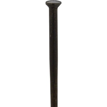 DT Swiss Competition 2.0/1.8/2.0mm Black Spoke - 293mm - Sold Individually