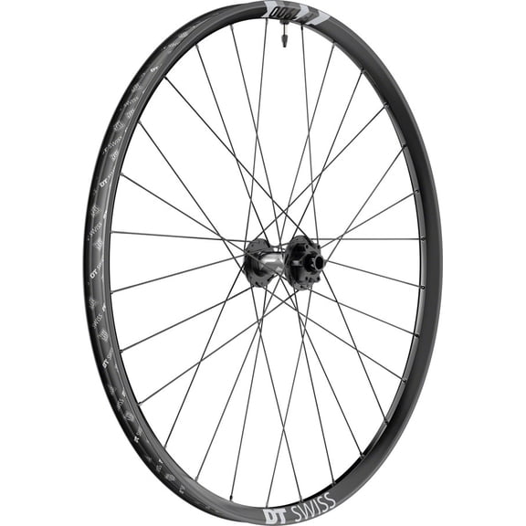 DT Swiss F 1900 Classic Front Wheel - 29", 15 x 110mm, 6-Bolt, Black