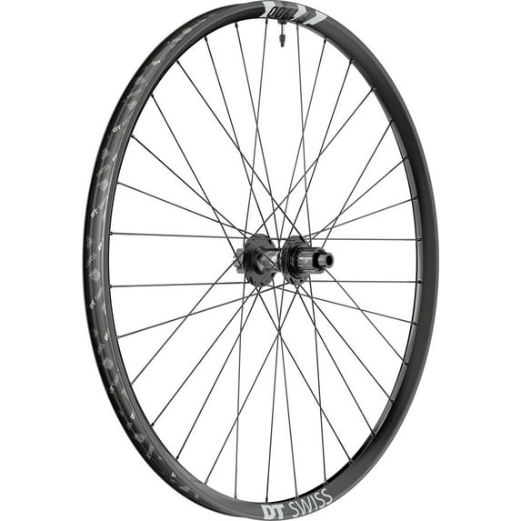 DT Swiss F 1900 Classic Rear Wheel - 29", 12 x 148mm, 6-Bolt, Micro Spline, Ratchet LN 18, Black