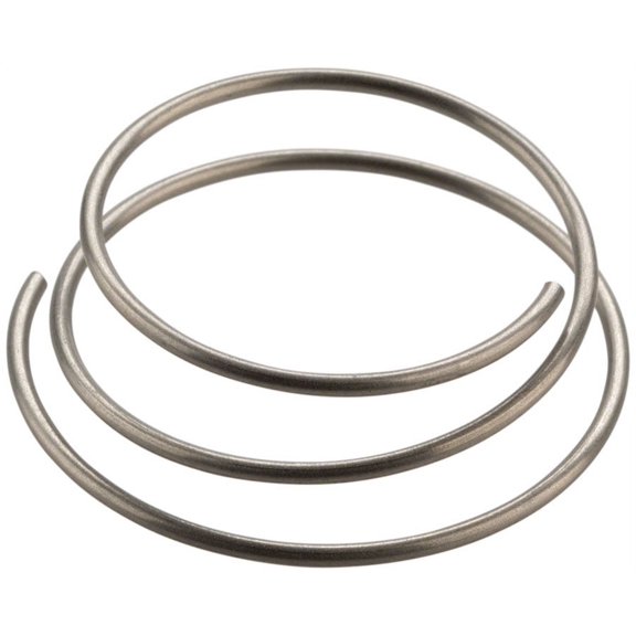 DT-Swiss Star Ratchet Spring- Each