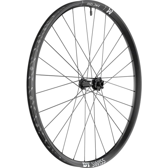 DT Swiss XMC 1200 Spline Front Wheel - 29", 15 x 110mm, 6-Bolt, Black