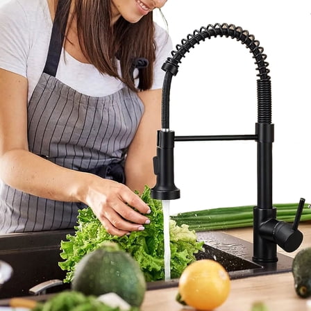 DTIG Black Kitchen Faucet, Pull-Out Sprayer, Brushed Nickel, Dual-Function, Includes Deck Plate, Water Pipes