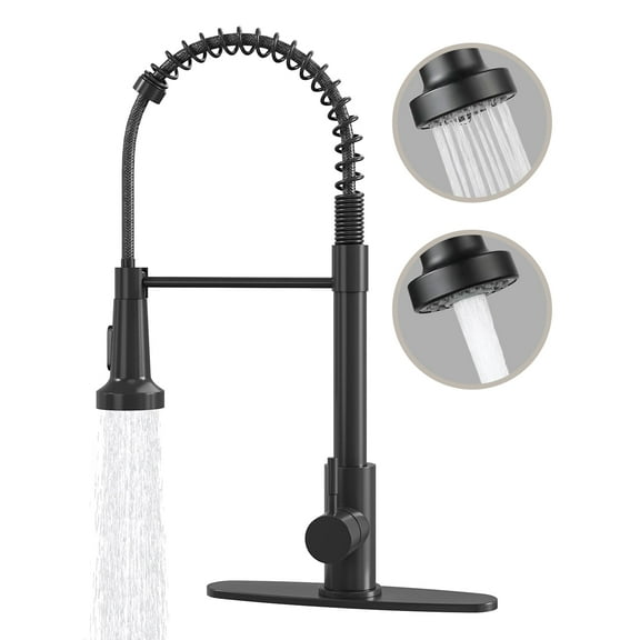 DTIG Black Kitchen Faucet, Pull-Out Sprayer, Brushed Nickel, Dual-Function, Includes Deck Plate, Water Pipes