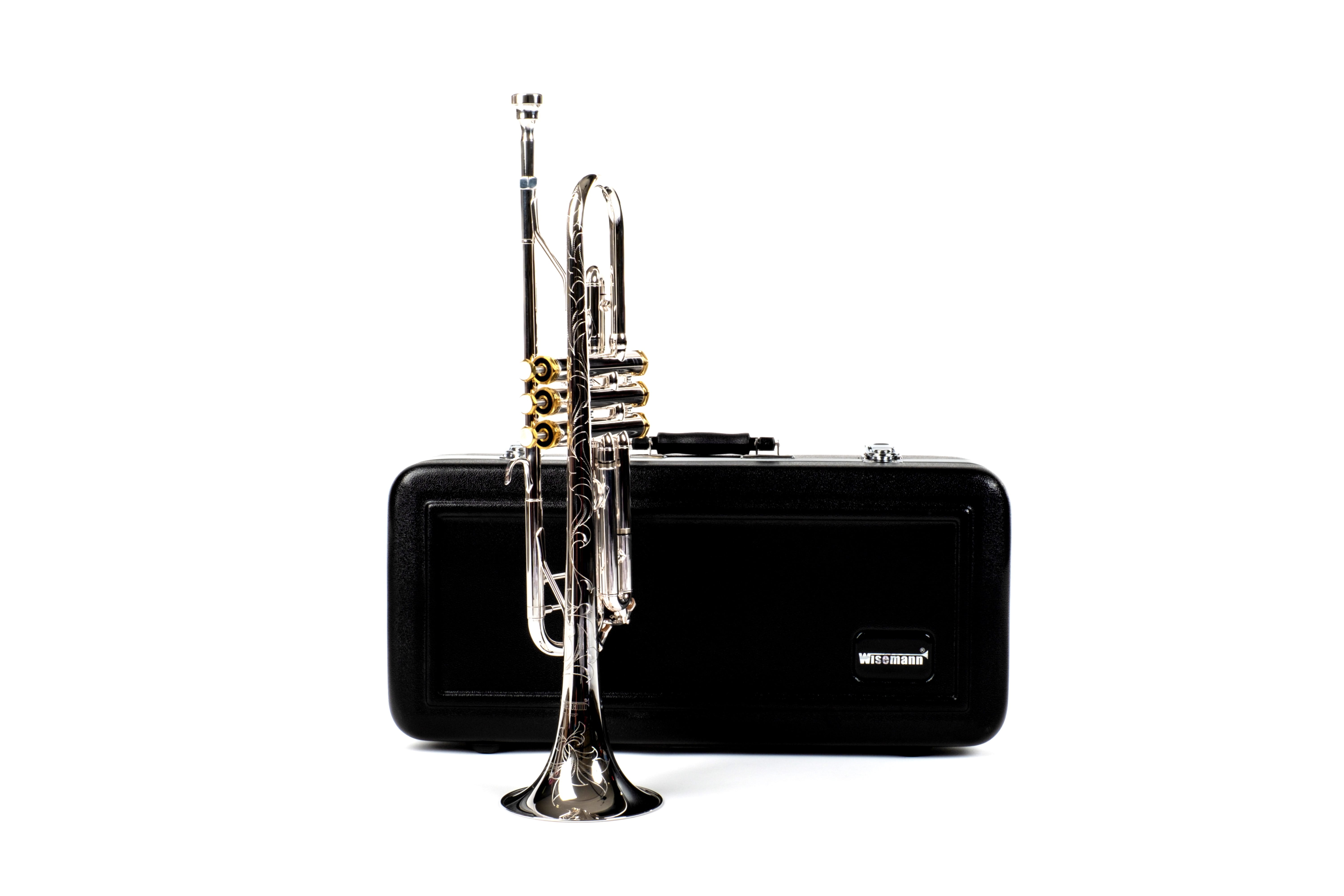 DTR-800SG Trumpet, silver plated finish, gold plated valve caps,Hexagonal shaped valve caps Bb, with case and mouthpiece