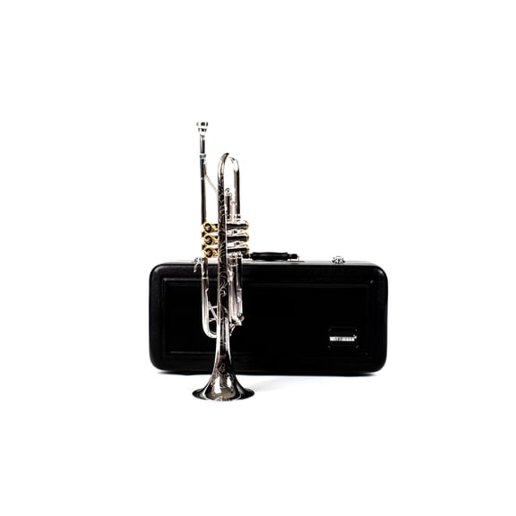 DTR-800SG Trumpet, silver plated finish, gold plated valve caps,Hexagonal shaped valve caps Bb, with case and mouthpiece