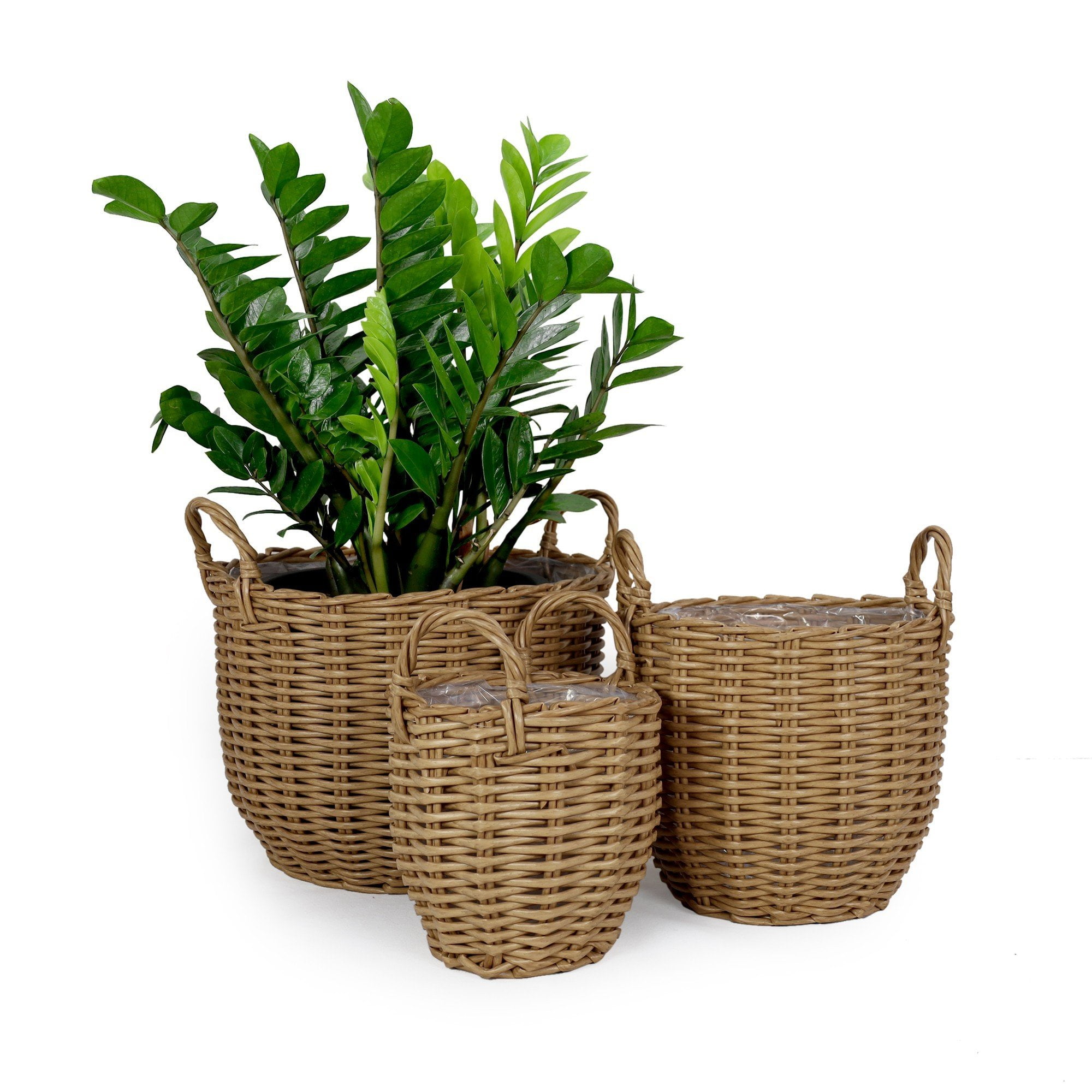 DTY Signature 3Pack Catleza Wicker Multipurposes Basket with handler