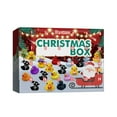24 Day Christmas Countdown Advent Calendar