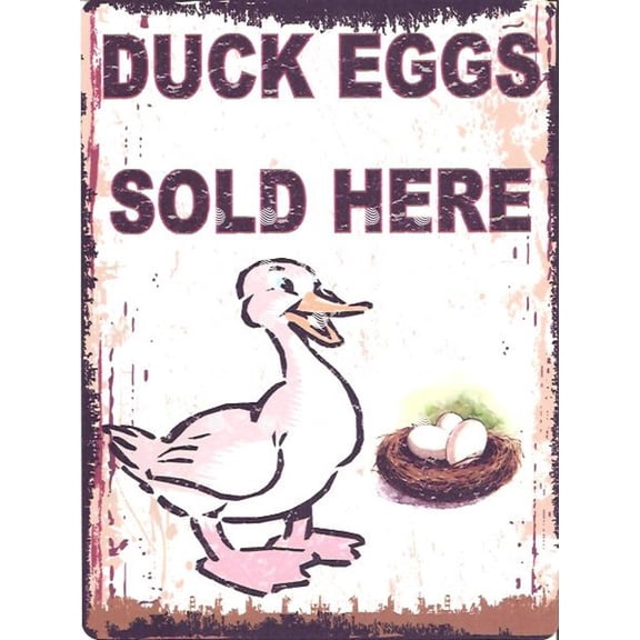 DUCK EGGS SOLD HERE Metal Sign RETRO VINTAGE STYLE pub bar shop art Size: 16 x 12 Inch