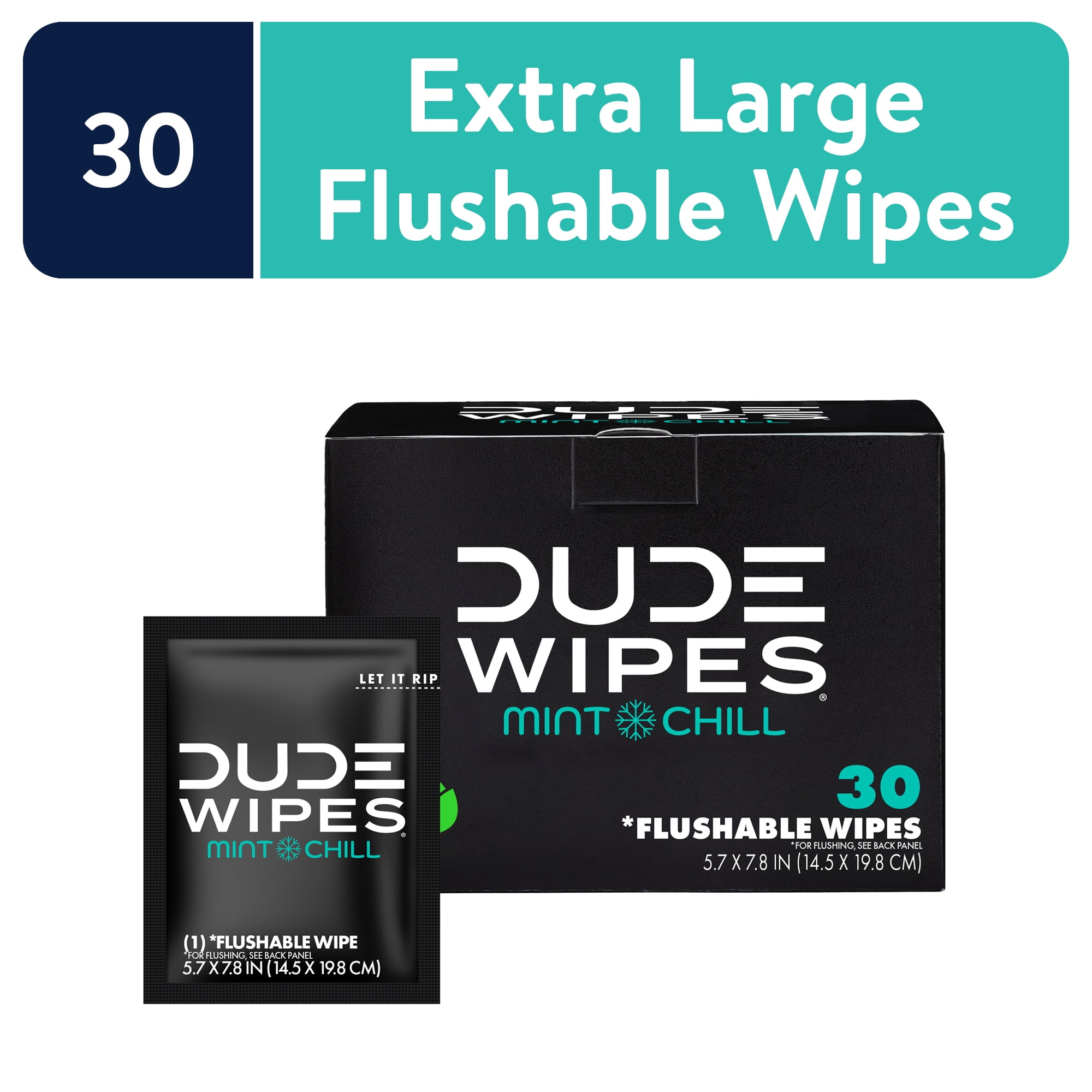 DUDE Wipes Flushable Wipes, XL on-the-go Wet Wipes, Mint Chill, 30 Count