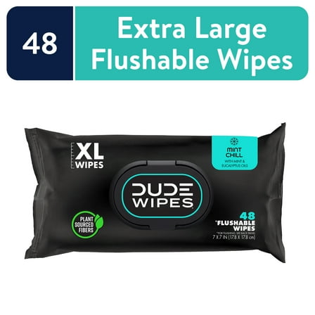 DUDE Flushable Wipes, Extra Large Mint Chill Wet Wipes, 48 Count