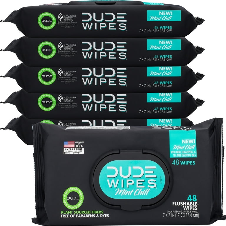 Dude Wipes Flushable Wipes - 6 Pack, 288 Wipes - Mint Chill Extra-Large Wet Wipes with Eucalyptus & Tea Tree Oil - Septic and Sewer Safe