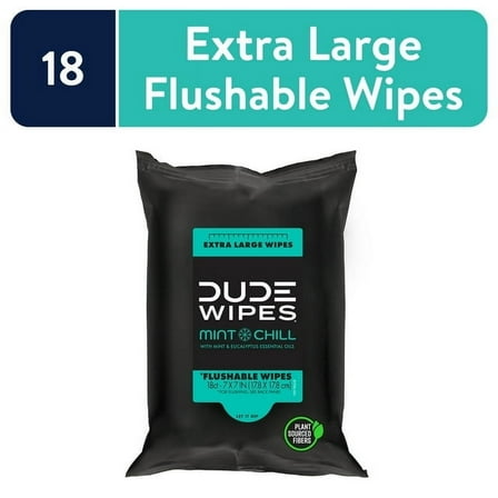 DUDE Flushable Wipes, Extra Large Mint Chill Wet Wipes Travel Pack, 18 Count