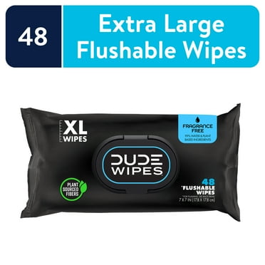 DUDE Wipes Flushable Wet Wipes, Unscented, 1 Pack, 48 Total Wipes