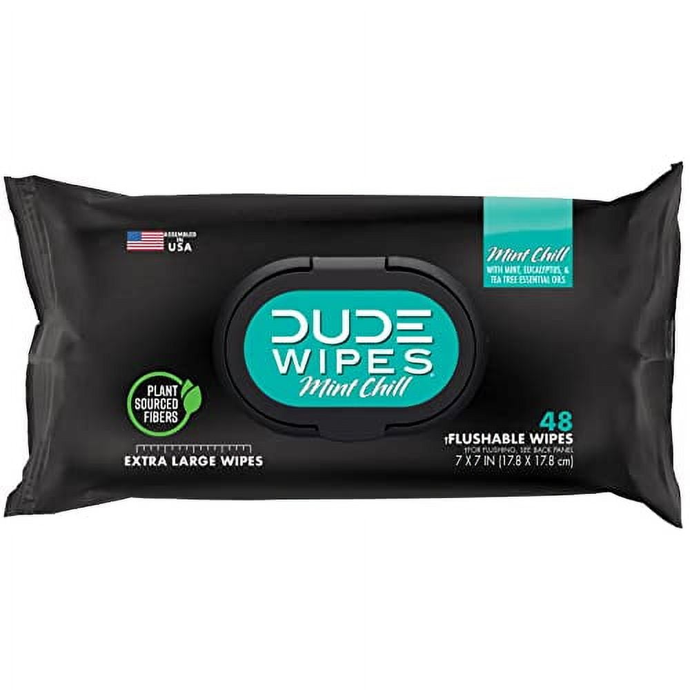 DUDE Wipes Flushable Wipes 1 Pack, 48 Wipes Mint Chill Extra