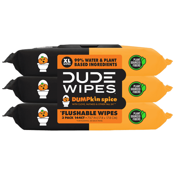 DUDE Wipes Limited Edition DUMPkin Spice, Extra Large Fall Scented Flushable Wet Wipes, 48 Count, 3 Pack (144 Total)