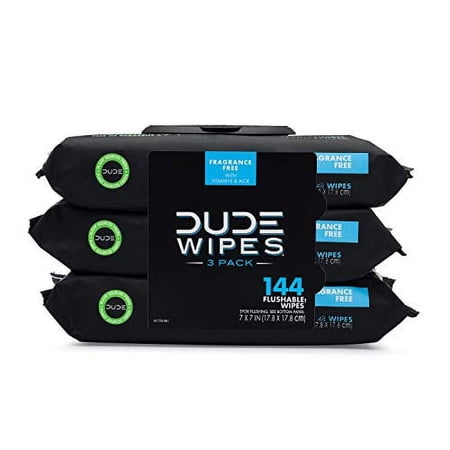 DUDE Wipes Flushable Wipes Dispenser, Unscented Wet Wipes with Vitamin-E & Aloe for at-Home Use, Septic and Sewer Safe, 48 Count (Pack of 3)