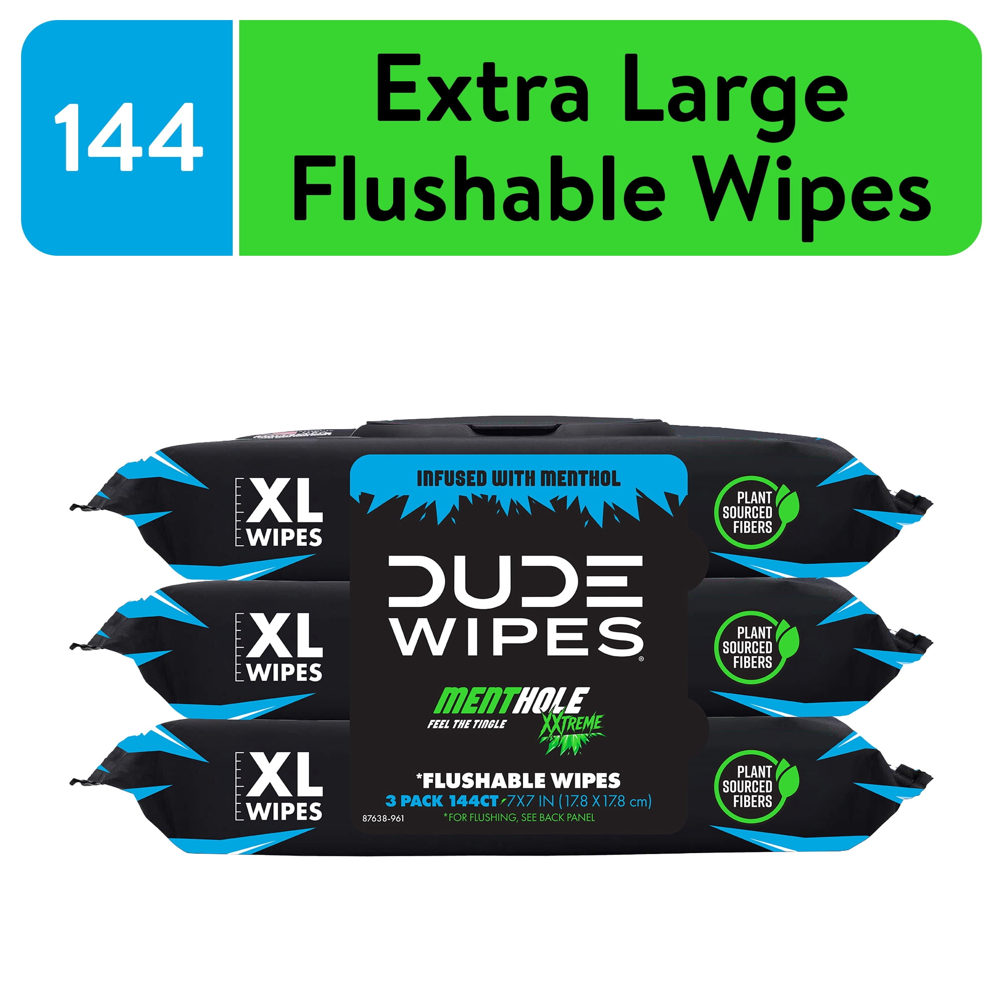 DUDE Wipes Flushable Wipes, XL Wet Wipes for at Home Use, MentHOLE XXtreme, 144 Count