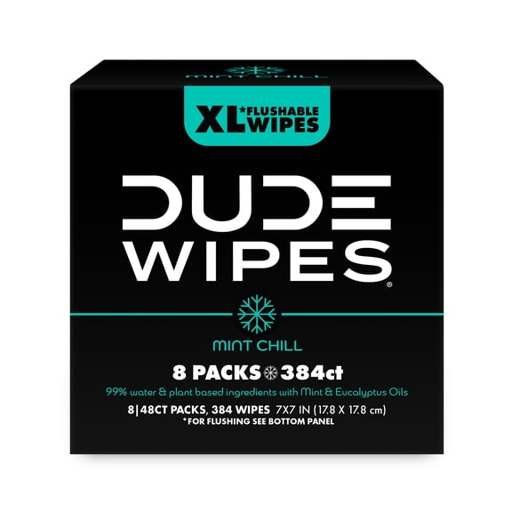 DUDE Wipes Mint Chill, Extra Large Flushable Wipes, 48 Count, 8 Pack (384 Total)